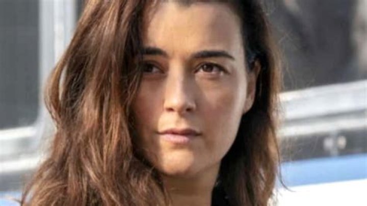 Cote de Pablo: A Look at the Beloved Actress's Journey and Life