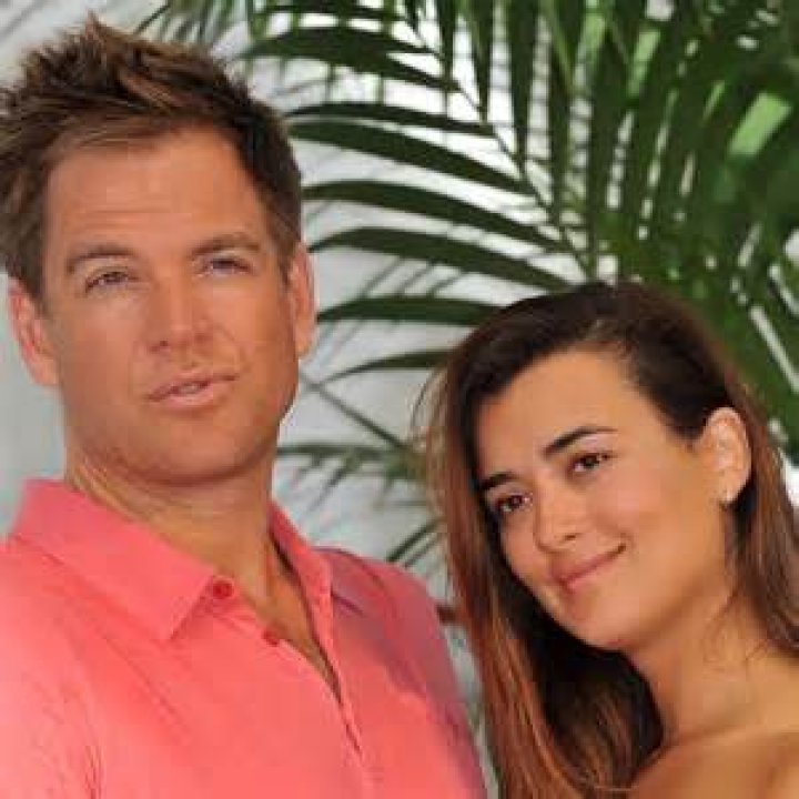 Cote de Pablo Husband: Unraveling Her Relationship Story
