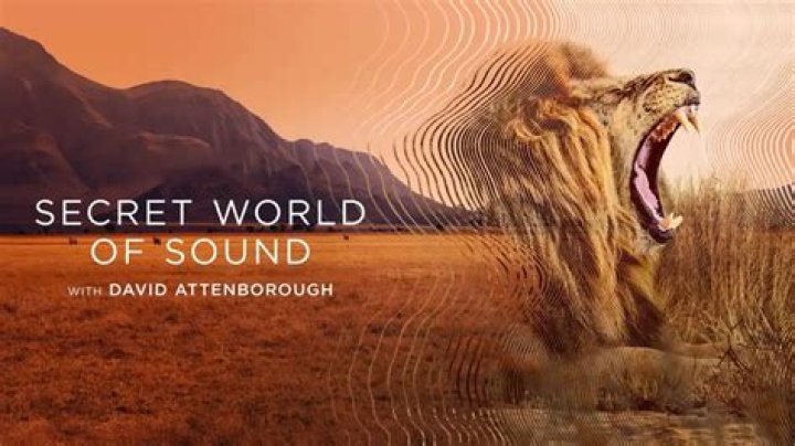 Discovering Dual Audio Movies: A World of Sound Choices