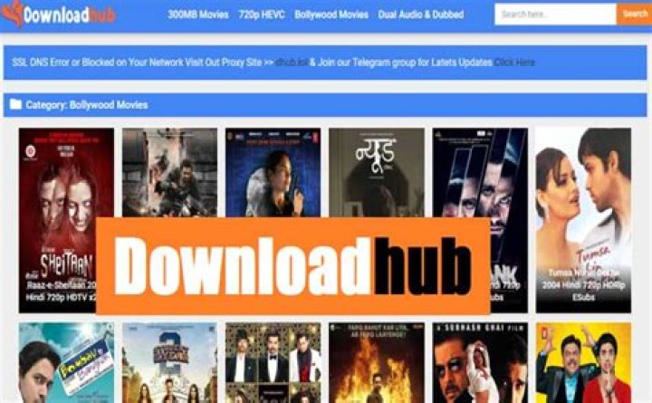 Downloadhub Movie Download: Your Guide to a Popular Online Video Saver