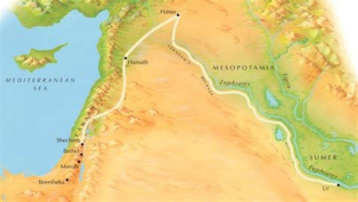 Exploring Daniella Alonso's Journey: From Model to Screen Star