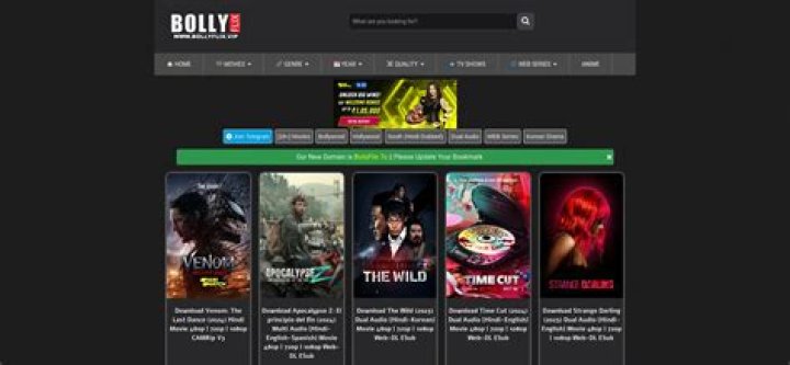 Exploring Hollywood Bollyflix: A New Era for Global Stories