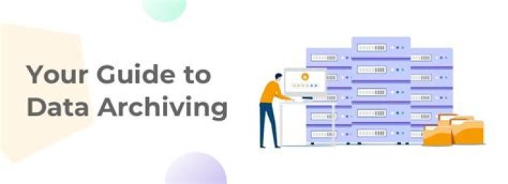 Exploring Kemono Su: Your Guide to Digital Art Archiving and Community