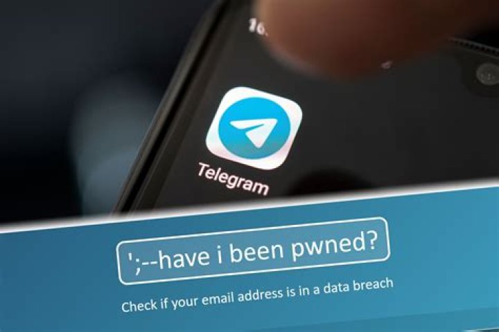 Finding What's Being Shared: Exploring the Wasmo Telegram Links of 2024