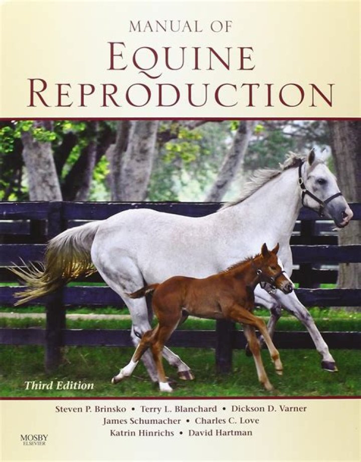 Horse Mating: Unraveling the Fascinating Process of Equine Reproduction