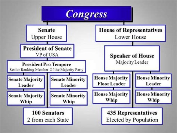 How Many Terms Can a Senator Serve? Unpacking Congressional Service