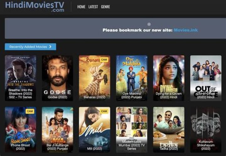 Kira Noir Bollywood Movies Download: Unpacking the Truth Behind the Search