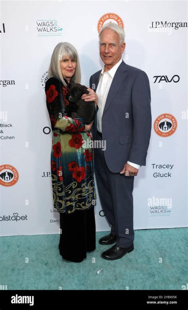 Mark Harmon's Wife: A Look at Pam Dawber and Their Enduring Hollywood Love Story