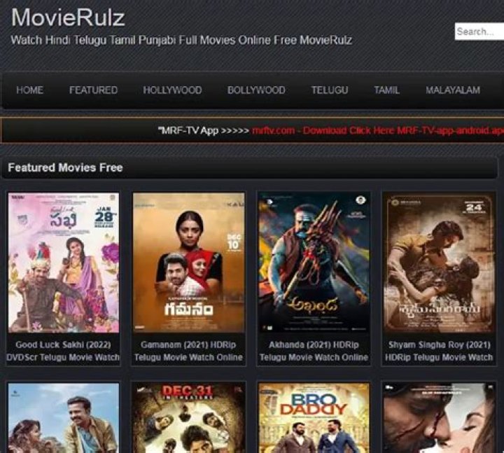 Movierulz 2023--Download: What You Should Know About This Piracy Site