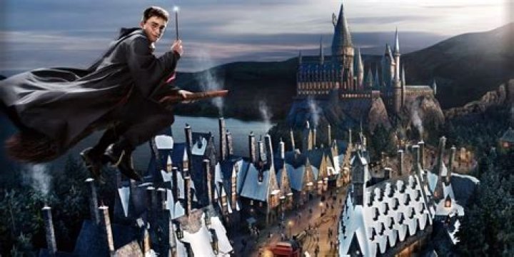 Rick Hoffman Harry Potter: Unraveling the Wizarding World Connection
