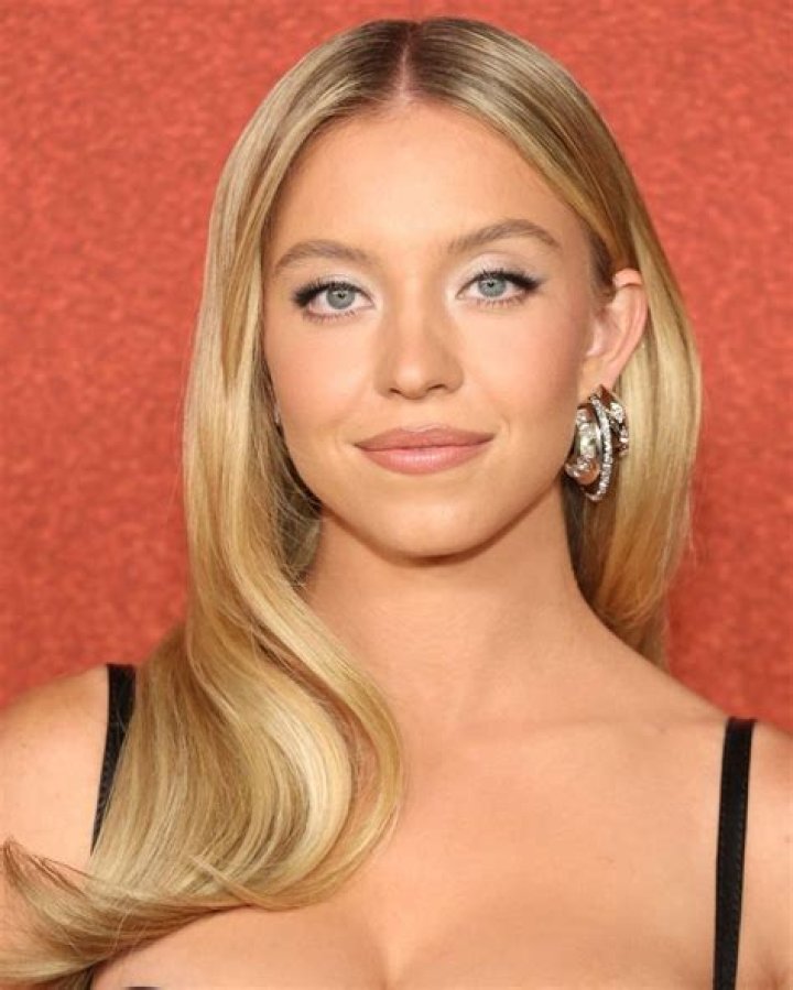 Sydney Sweeney Erome: Unpacking the Online Interest and Her Public Profile