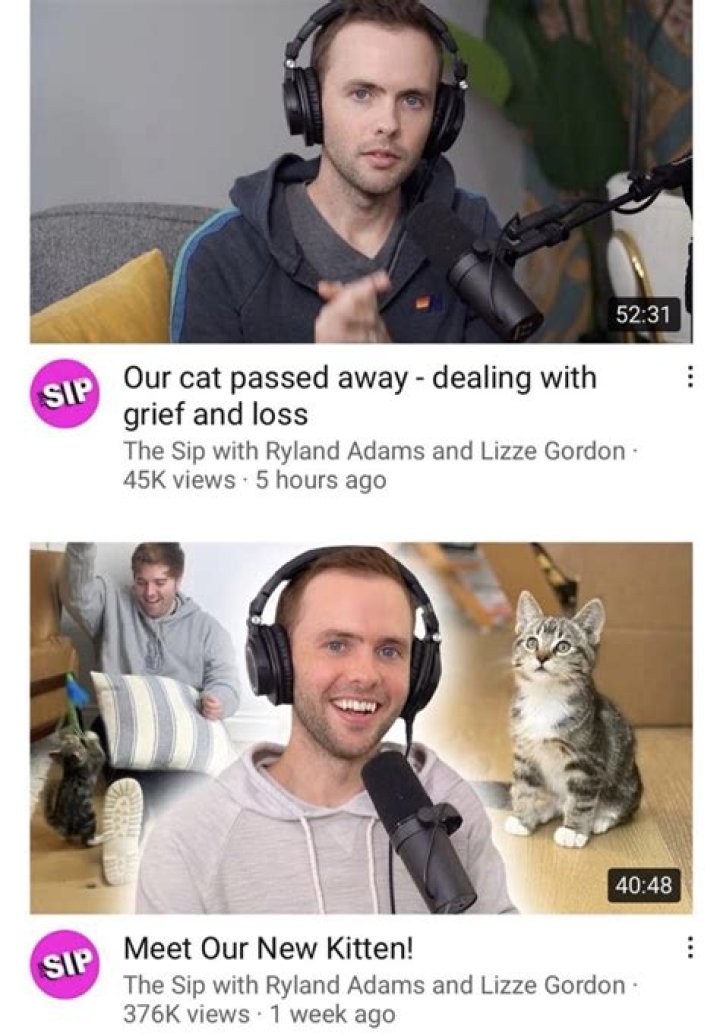 Unpacking the Shane Dawson Cat Allegations: A Look at Online Scrutiny