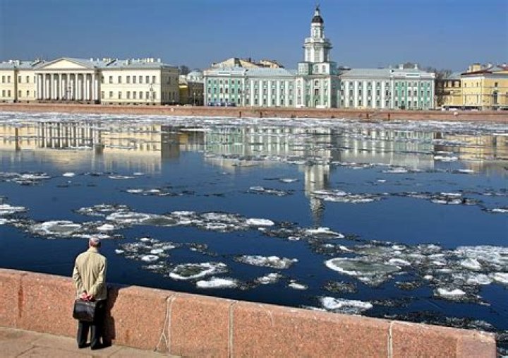 Unveiling Neva Portman: A Heartfelt Adventure with a Loyal Companion