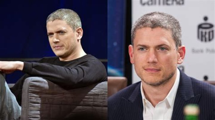 Wentworth Miller Partner: Exploring His Public Life and Relationships