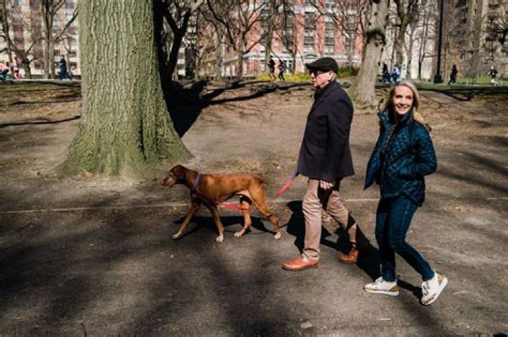 What Happened to Jasper Perino? Remembering America's Beloved Dog